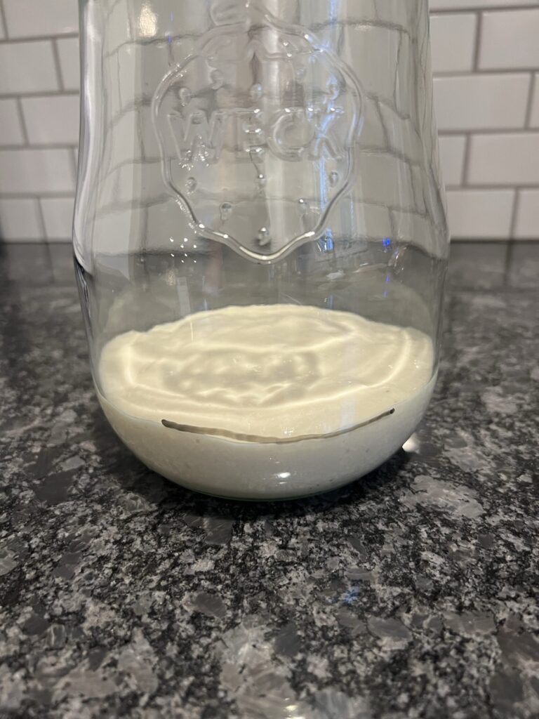 active sourdough starter - Mark the level the mixture sits at