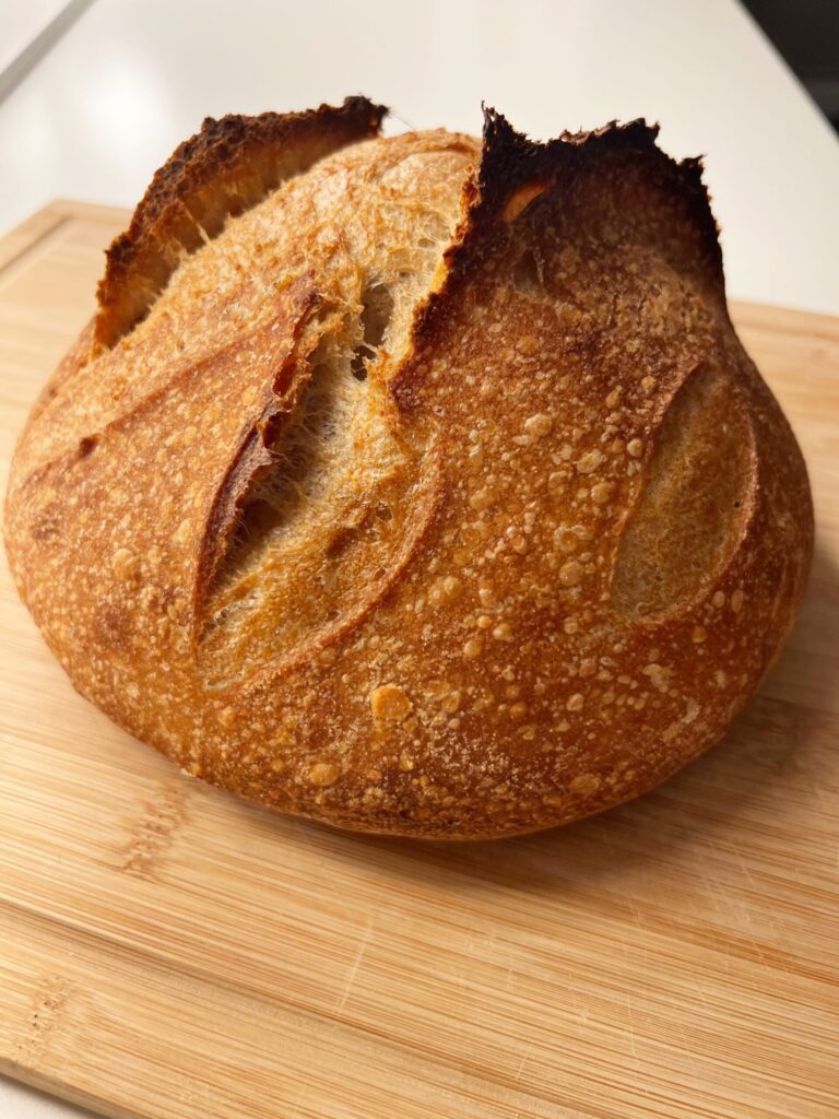 Shaping your Sourdough Bread Healing Slice
