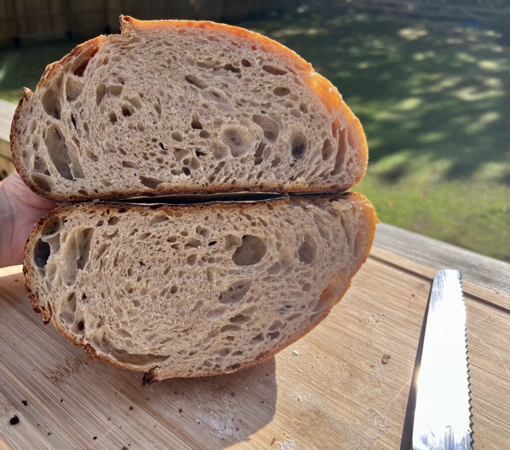 Well-Structured Sourdough Crumb