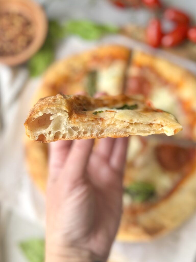 sourdough pizza crust crumb