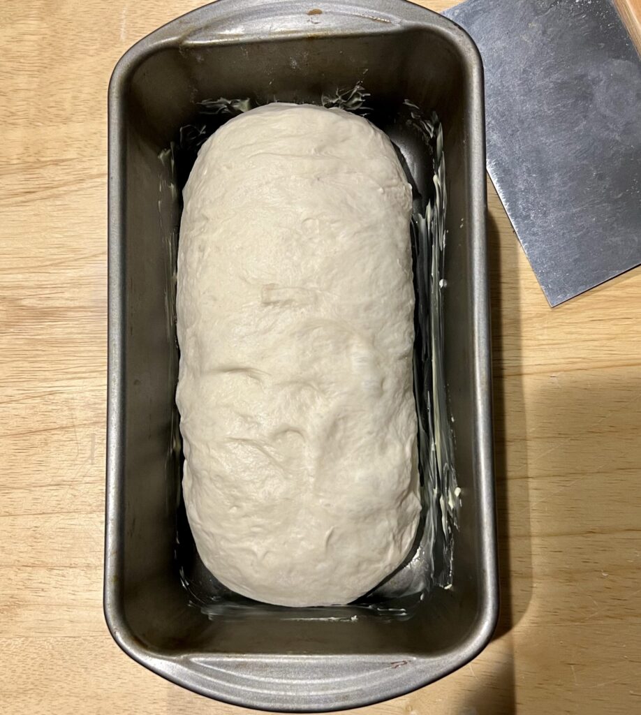 After you shape your dough, place it in a generously buttered 9x5 loaf pan and cover it with oiled plastic wrap for the next 2-4 hours. 