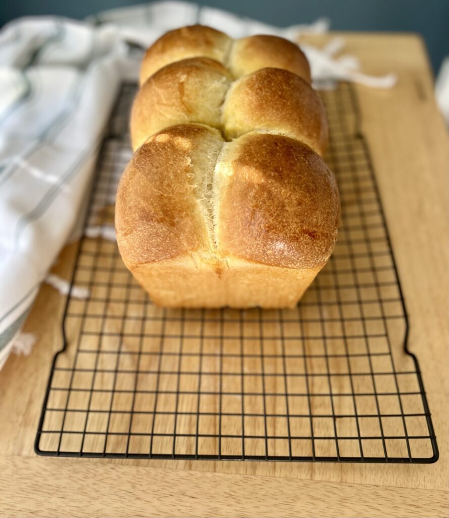 sourdough brioche