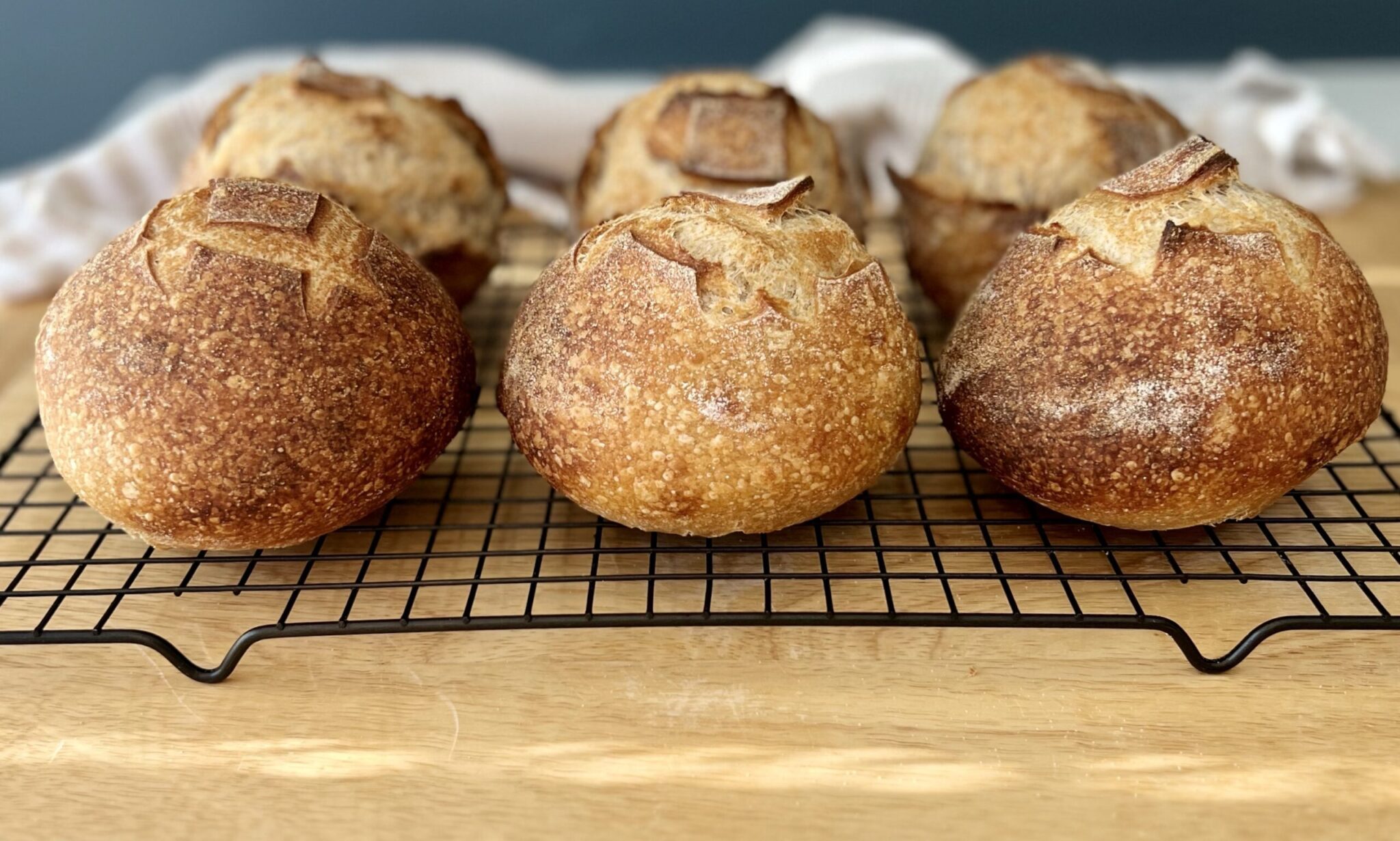 Sourdough Bread Bowls Healing Slice