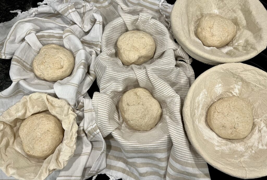sourdough bread bowls proofing in bowls