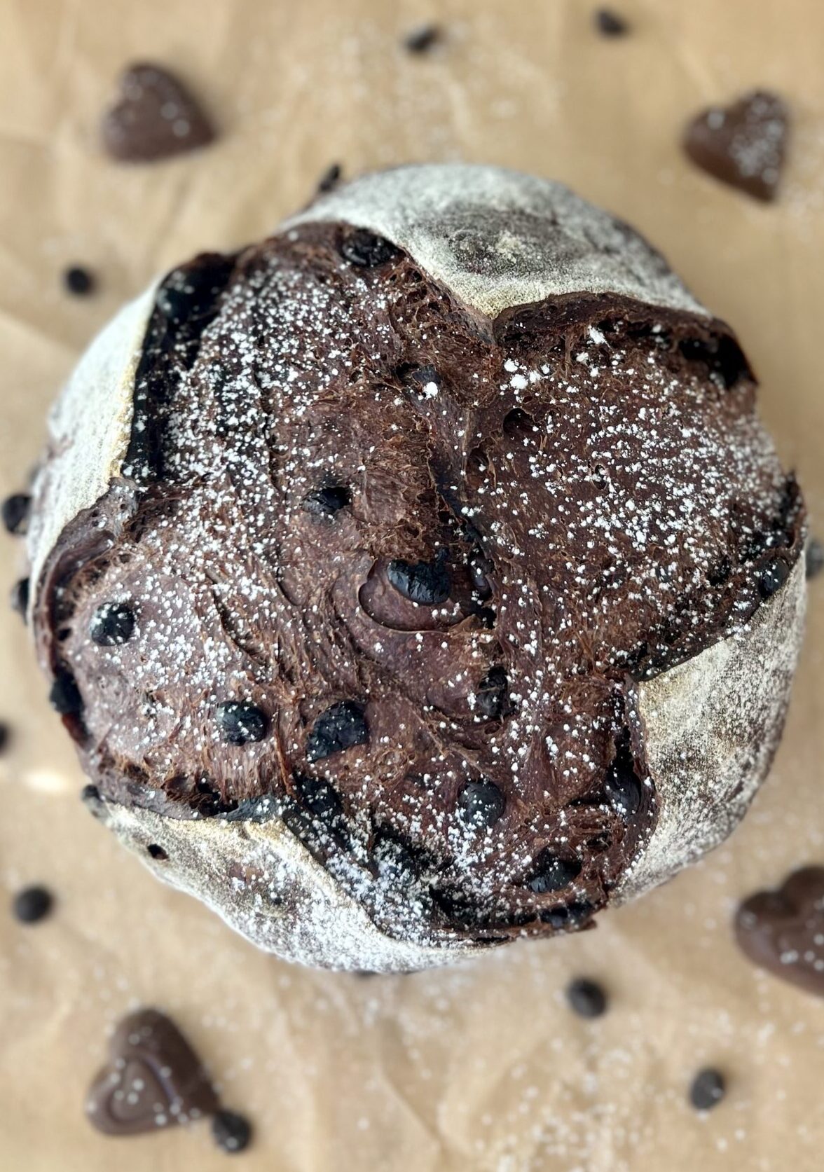 Sourdough Chocolate Bread