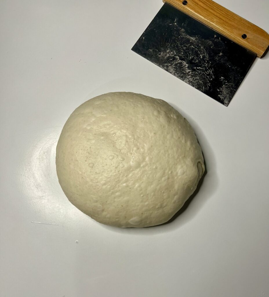 rustic sourdough bread pre shaped ball