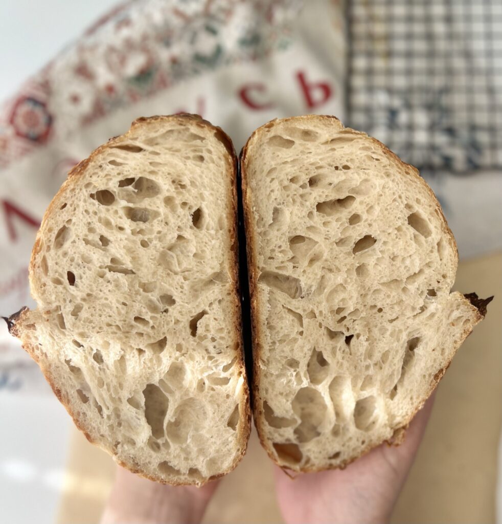 rustic sourdough bread crumb