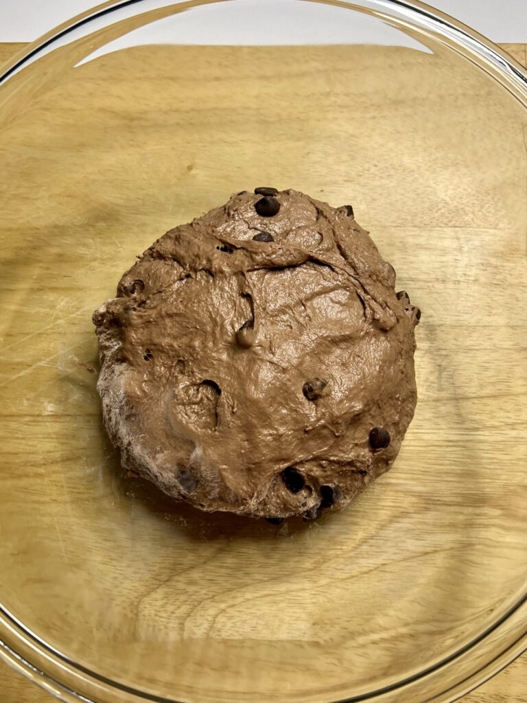 chocolate sourdough bread dough mixture