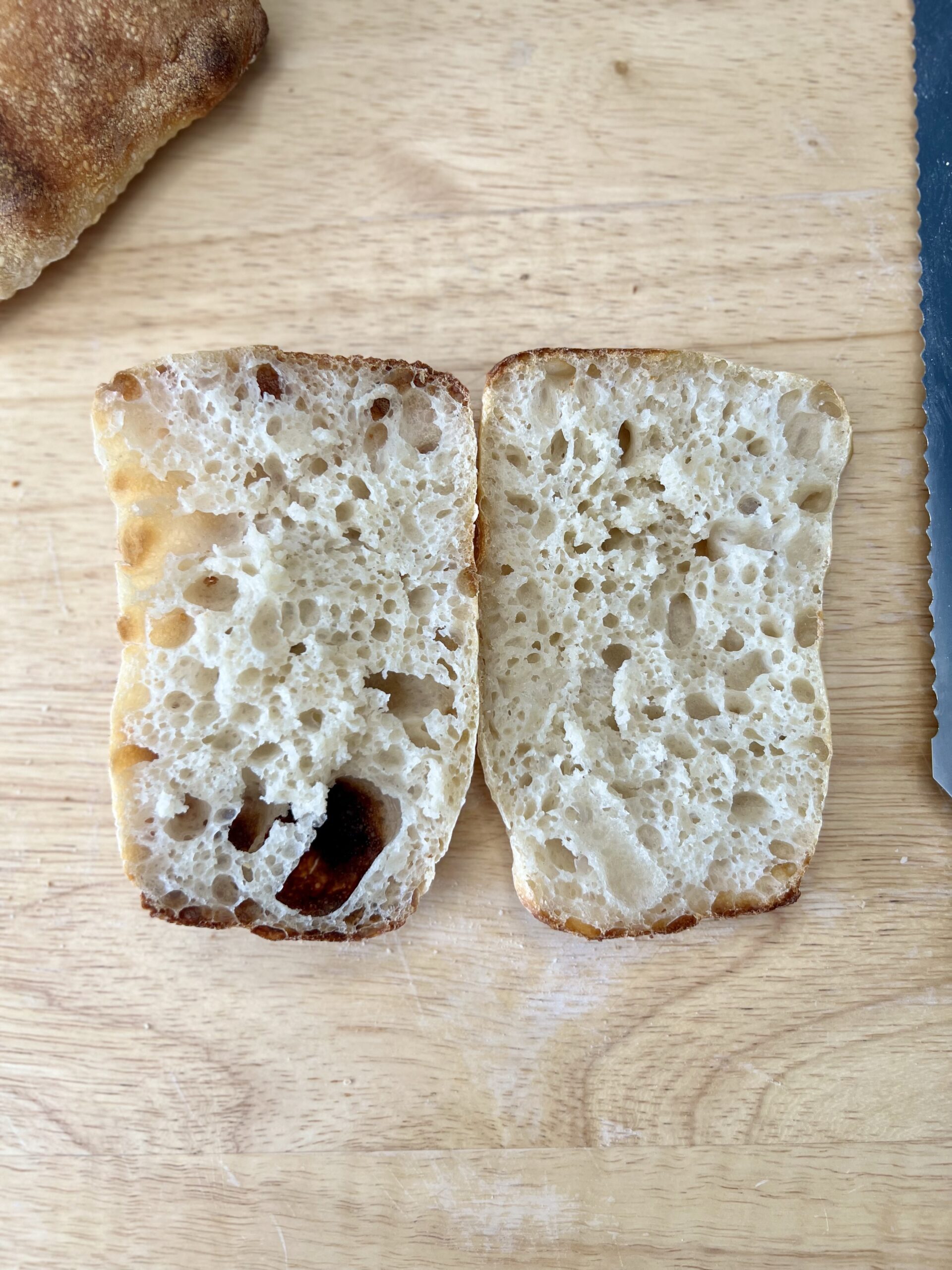 Sourdough Ciabatta Bread Healing Slice