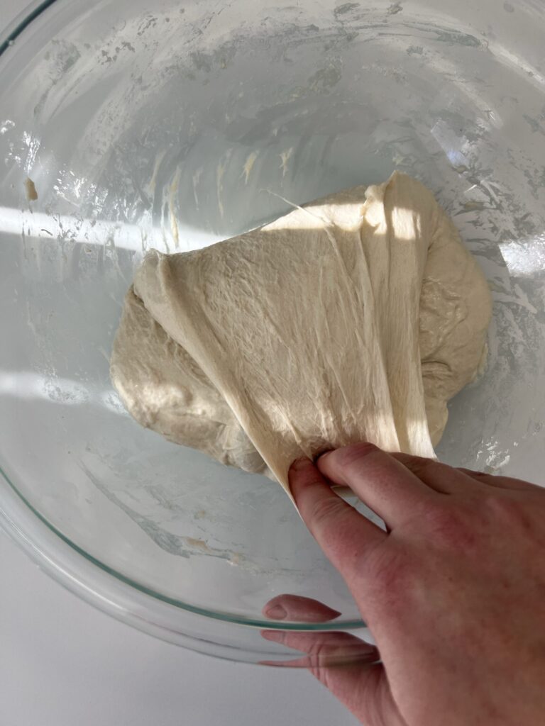 stretch and fold the dough