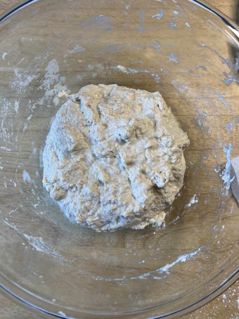 Sourdough Ciabatta Bread  - dough