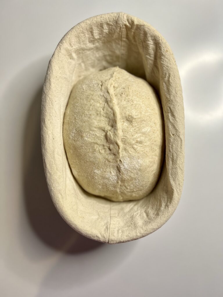 batard dough in banneton