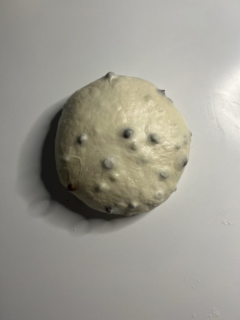 Pre-shape the dough