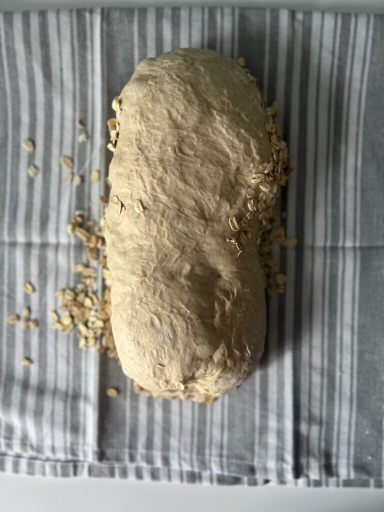 Roll from the bottom into a log and coat with the rolled oats
