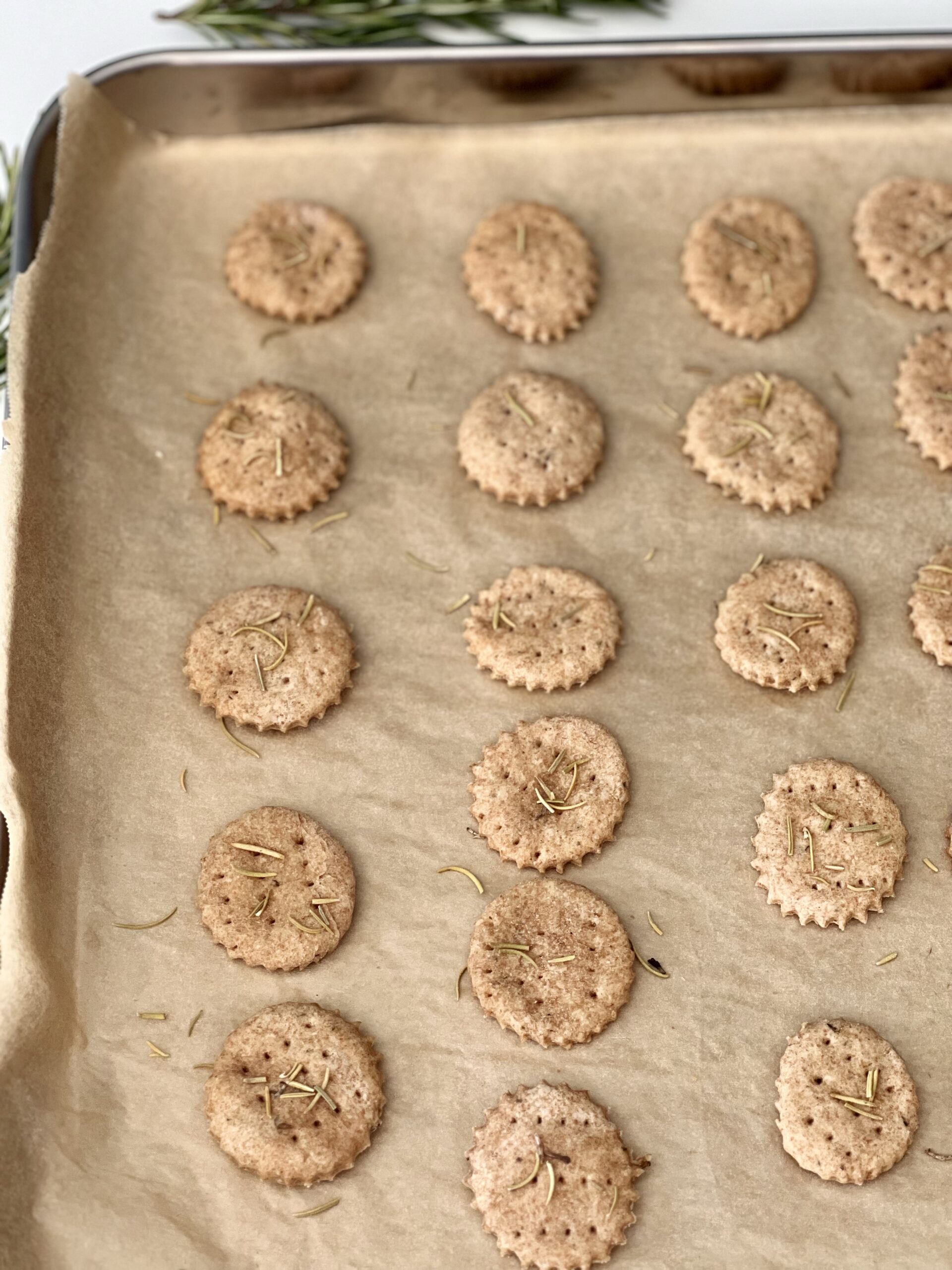 Sourdough Discard Crackers (with rosemary & garlic) Healing Slice