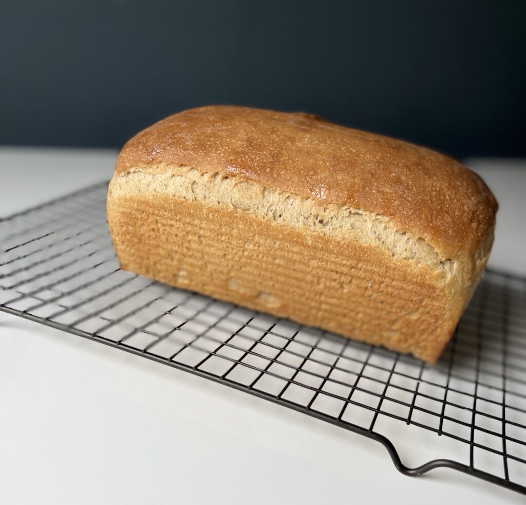 sourdough rye sandwich bread