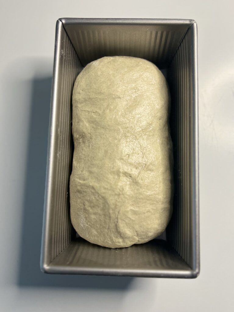 sourdough rye loaf in pan
