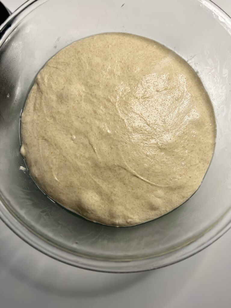 fermented whole wheat sourdough hoagie dough