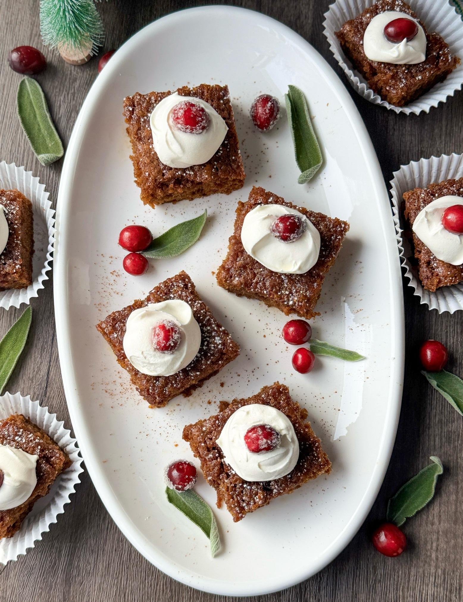 sourdough gingerbread cake