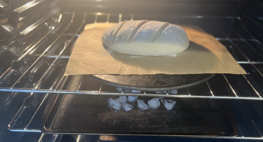 Sourdough Italian Bread - score & bake