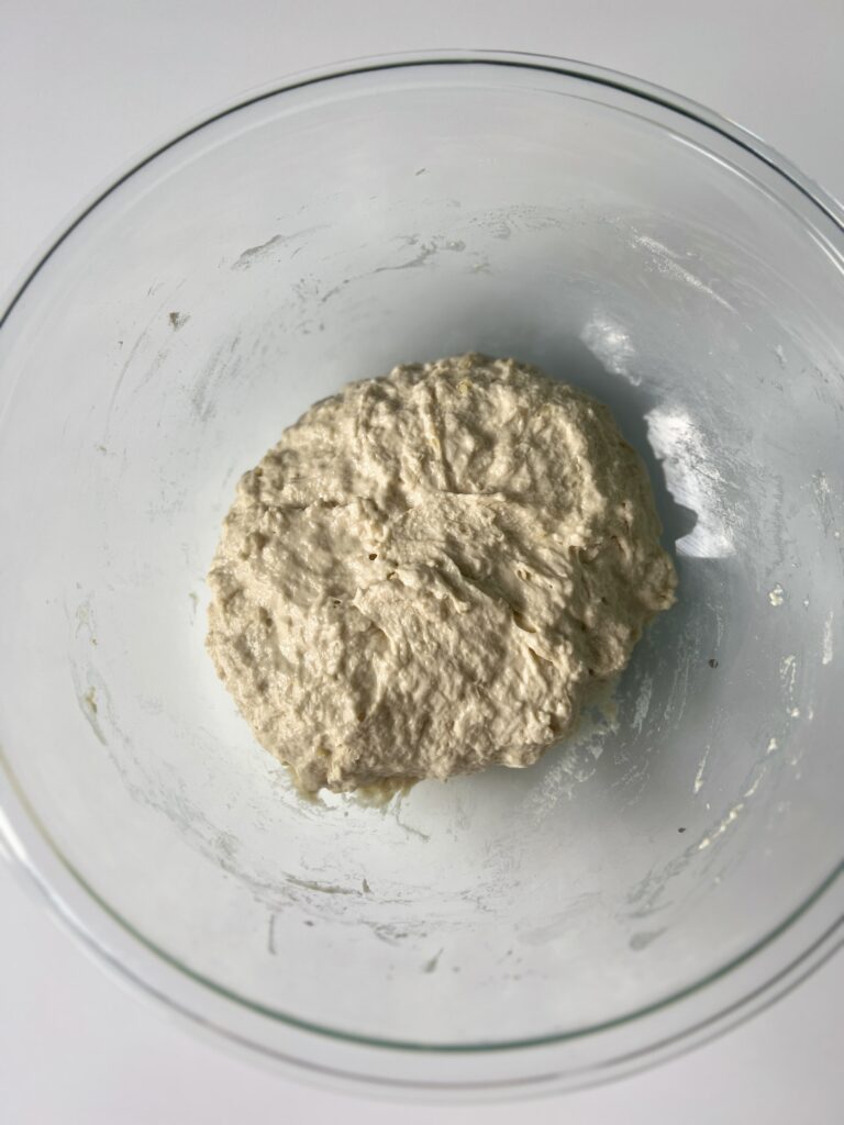 sourdough Italian dough mixture