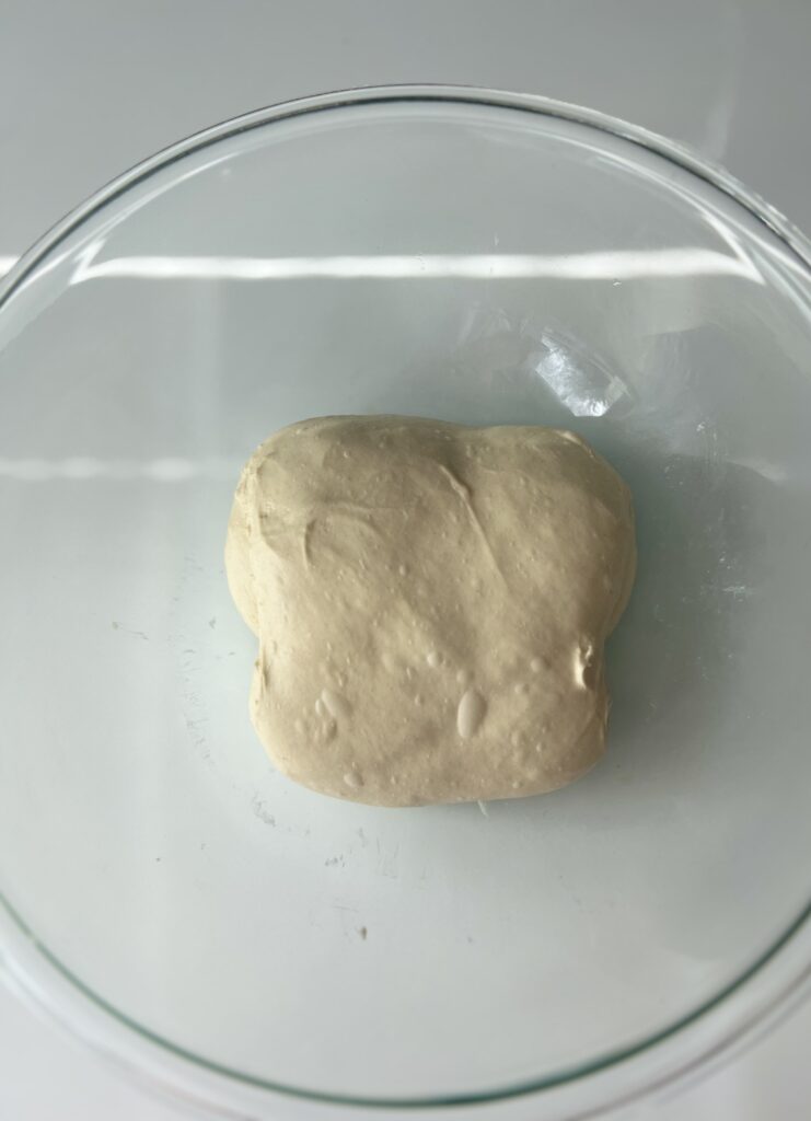 Sourdough Italian Bread -coil folded dough