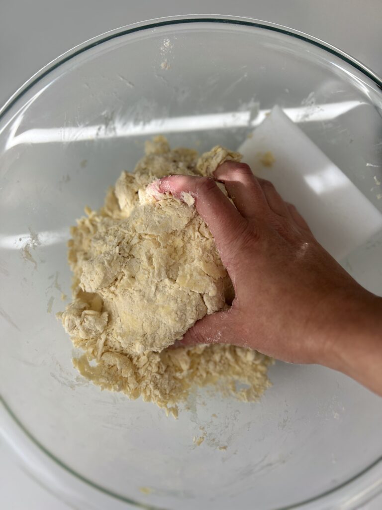 Use your hands to bring the mixture together until no more dry bits are in the bowl. If the mixture is not coming together, add 1 teaspoon of ice water. 