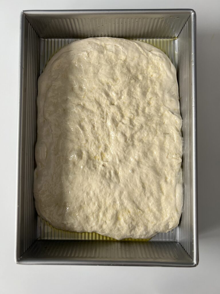 sourdough focaccia dough in pan