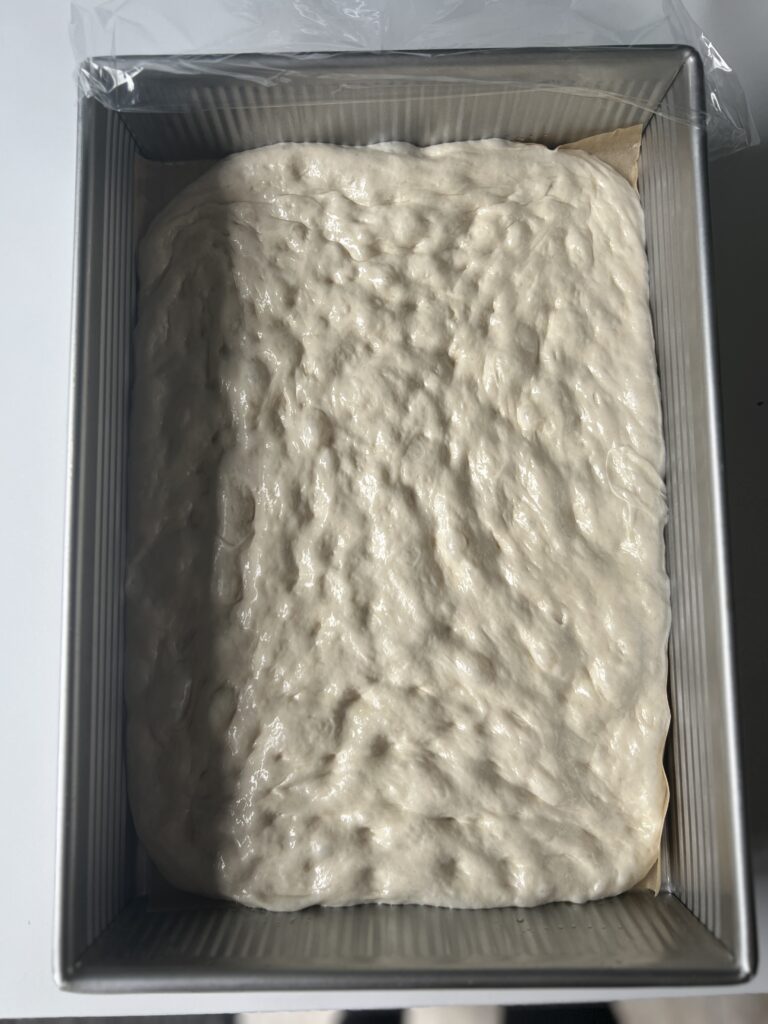 Sicilian dough in pan