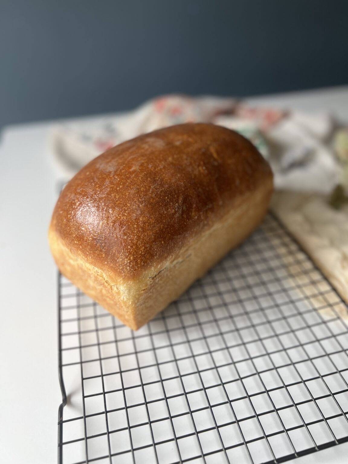 Easy Sourdough Sandwich Bread - Healing Slice