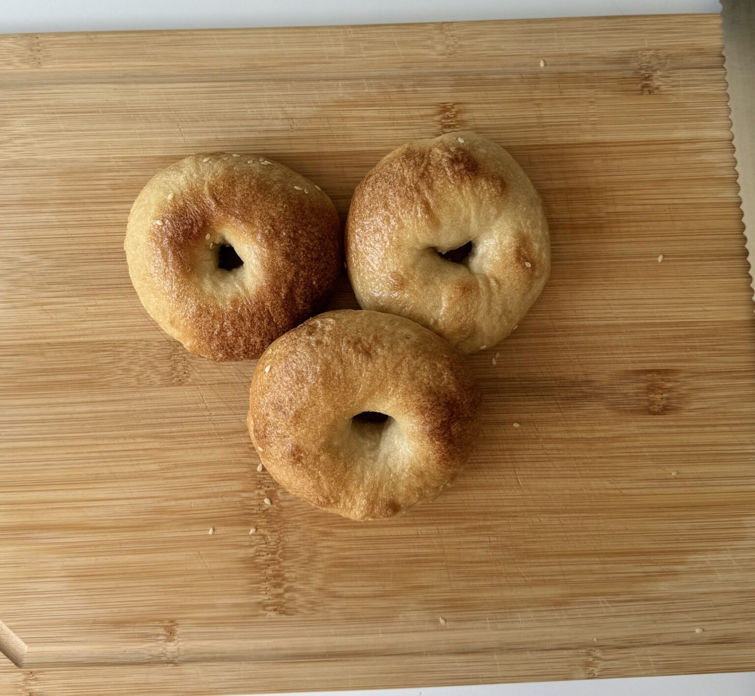 sourdough-bagel-chips-healing-slice