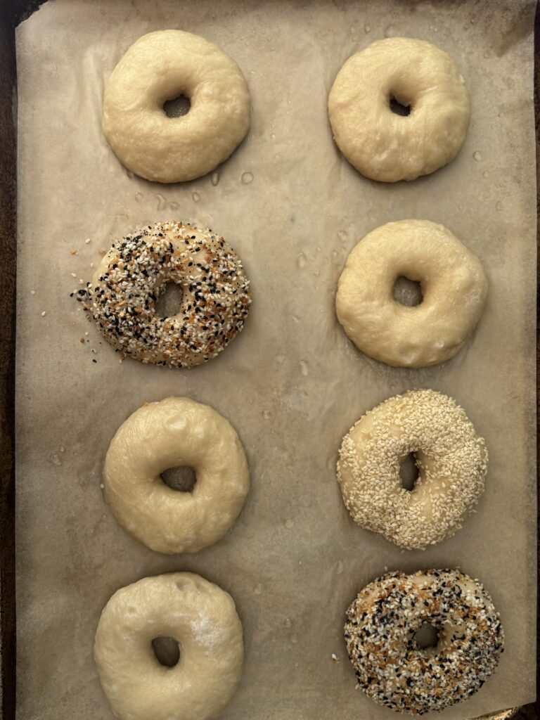 sourdough bagels pre baking