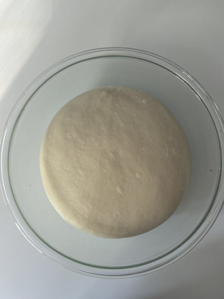 proofed bagel dough