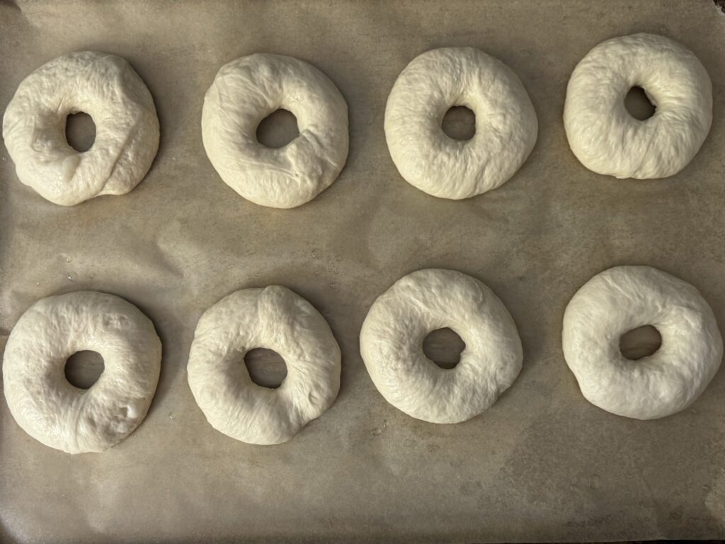 shaped sourdough bagels
