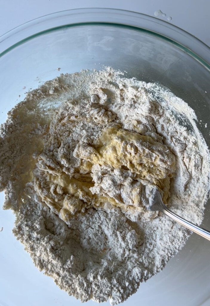 sourdough pasta mixture