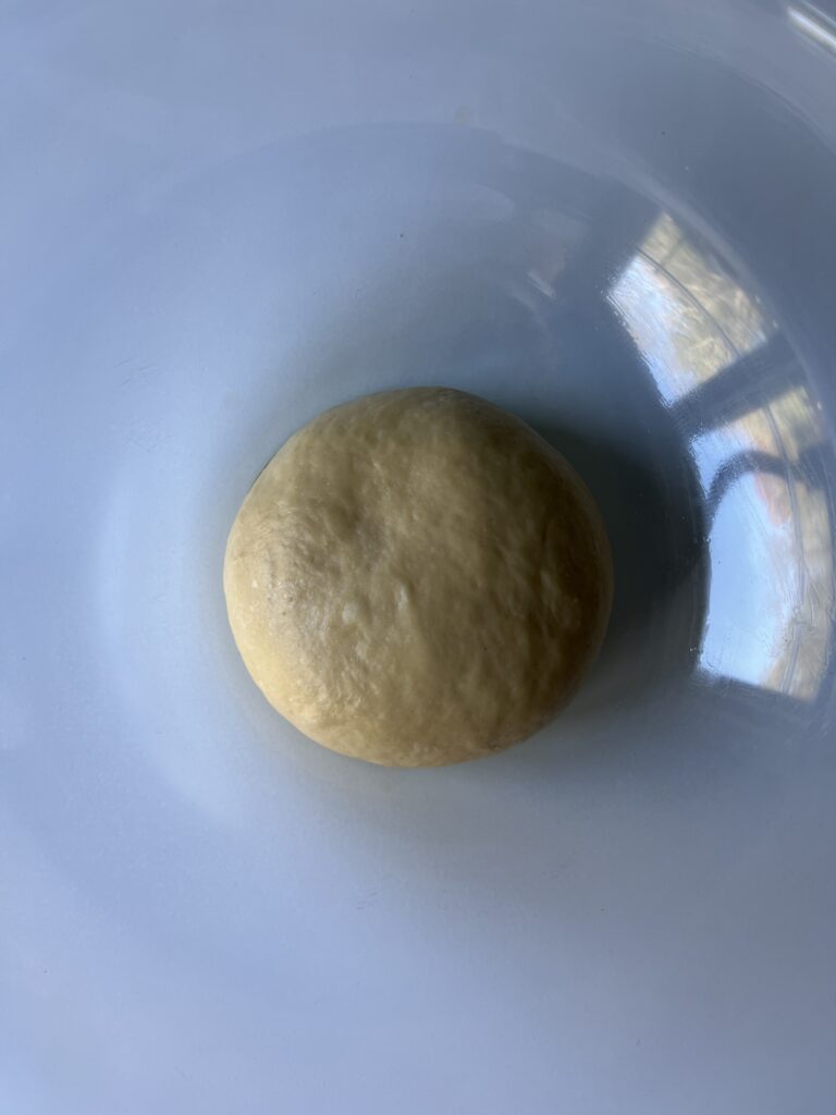 sourdough pasta dough in bowl