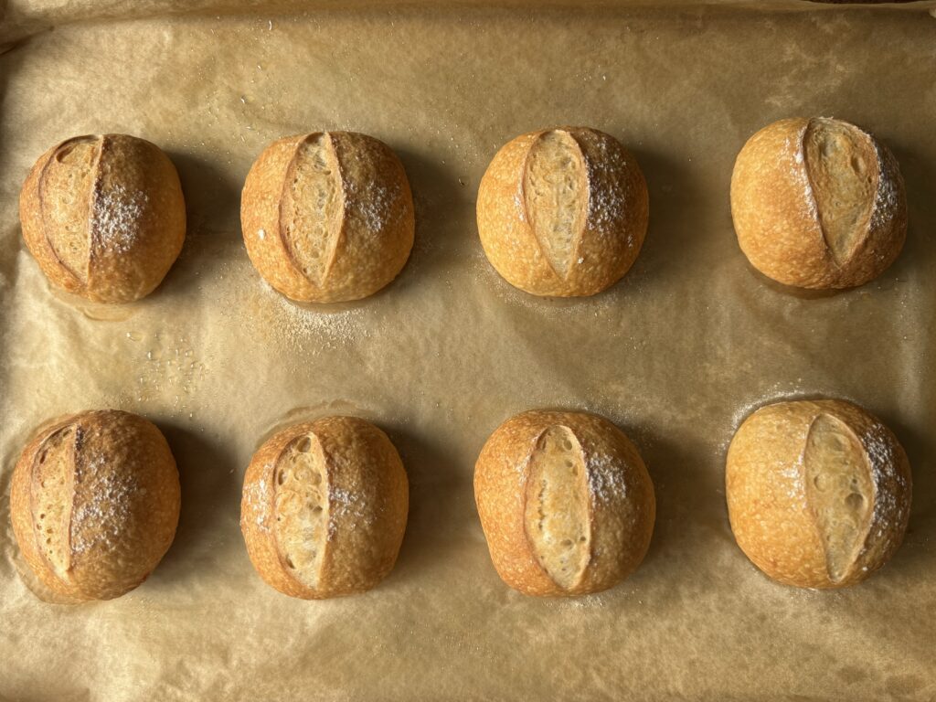 crusty sourdough rolls