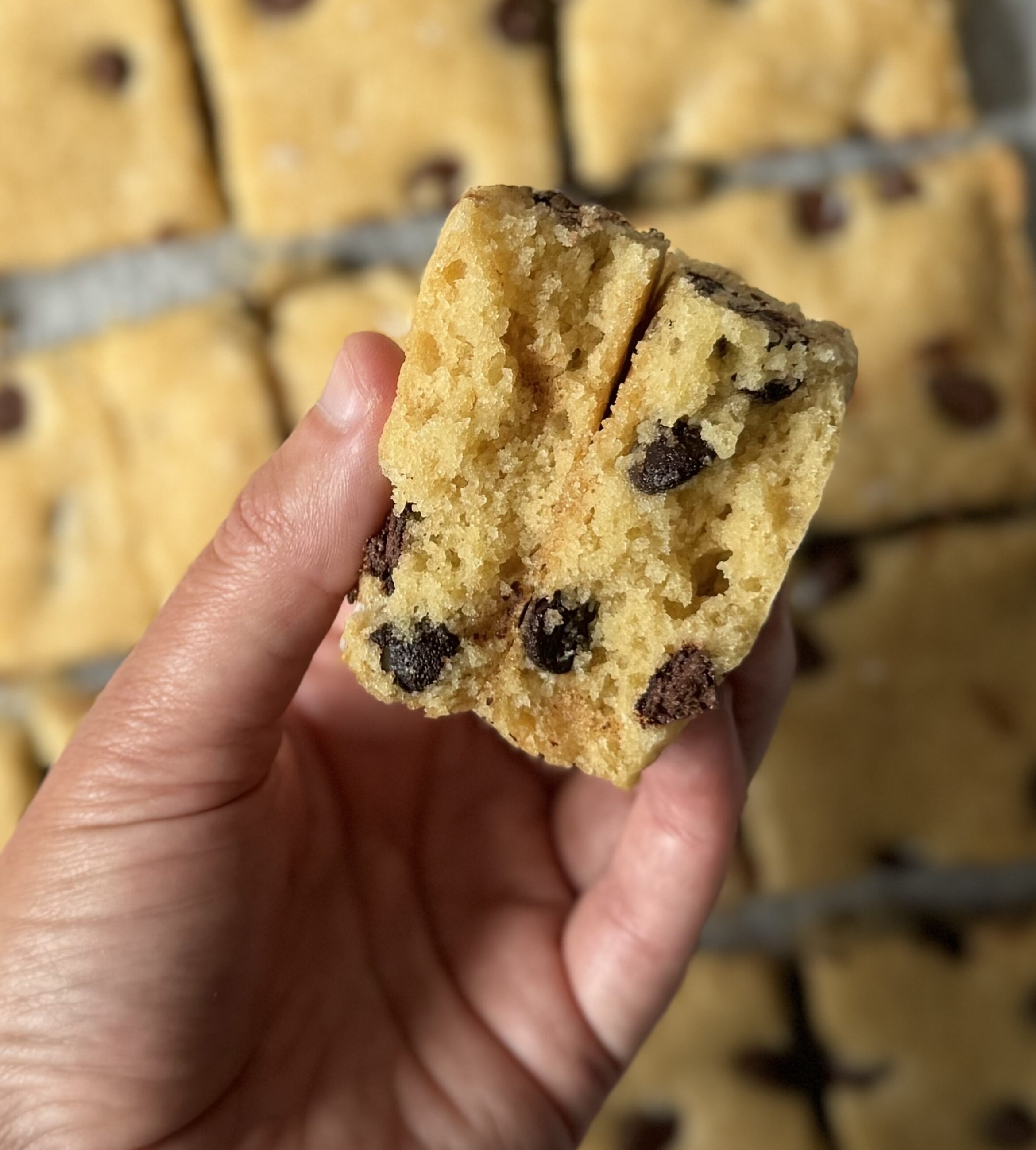 inside of sourdough blondies