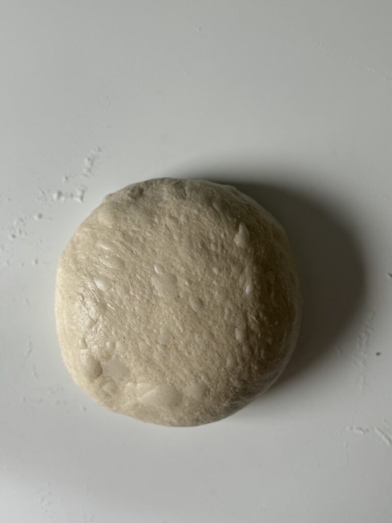 pre-shaped artisan sourdough bread