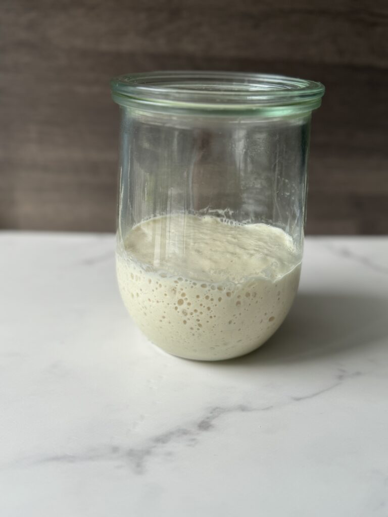 sourdough starter