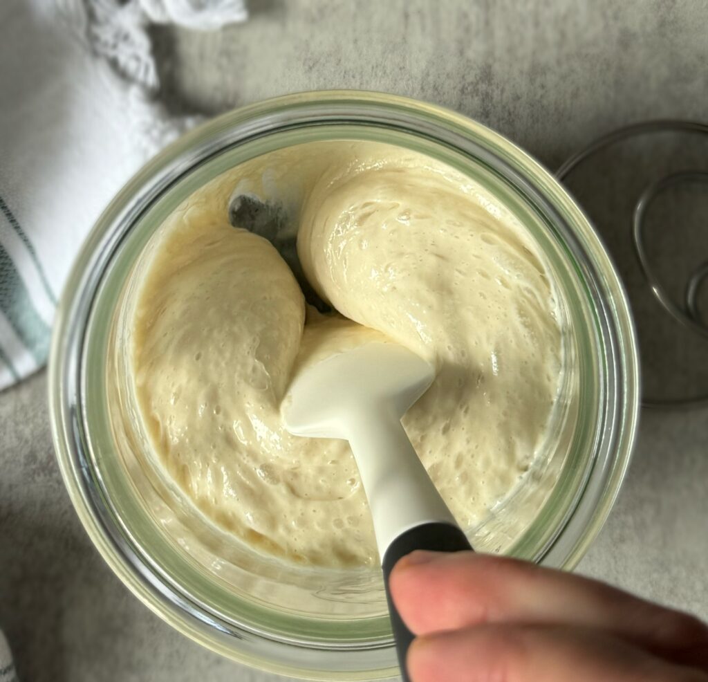 sourdough starter