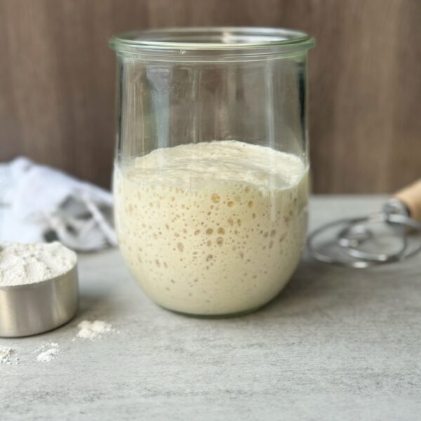 troubleshooting sourdough starters