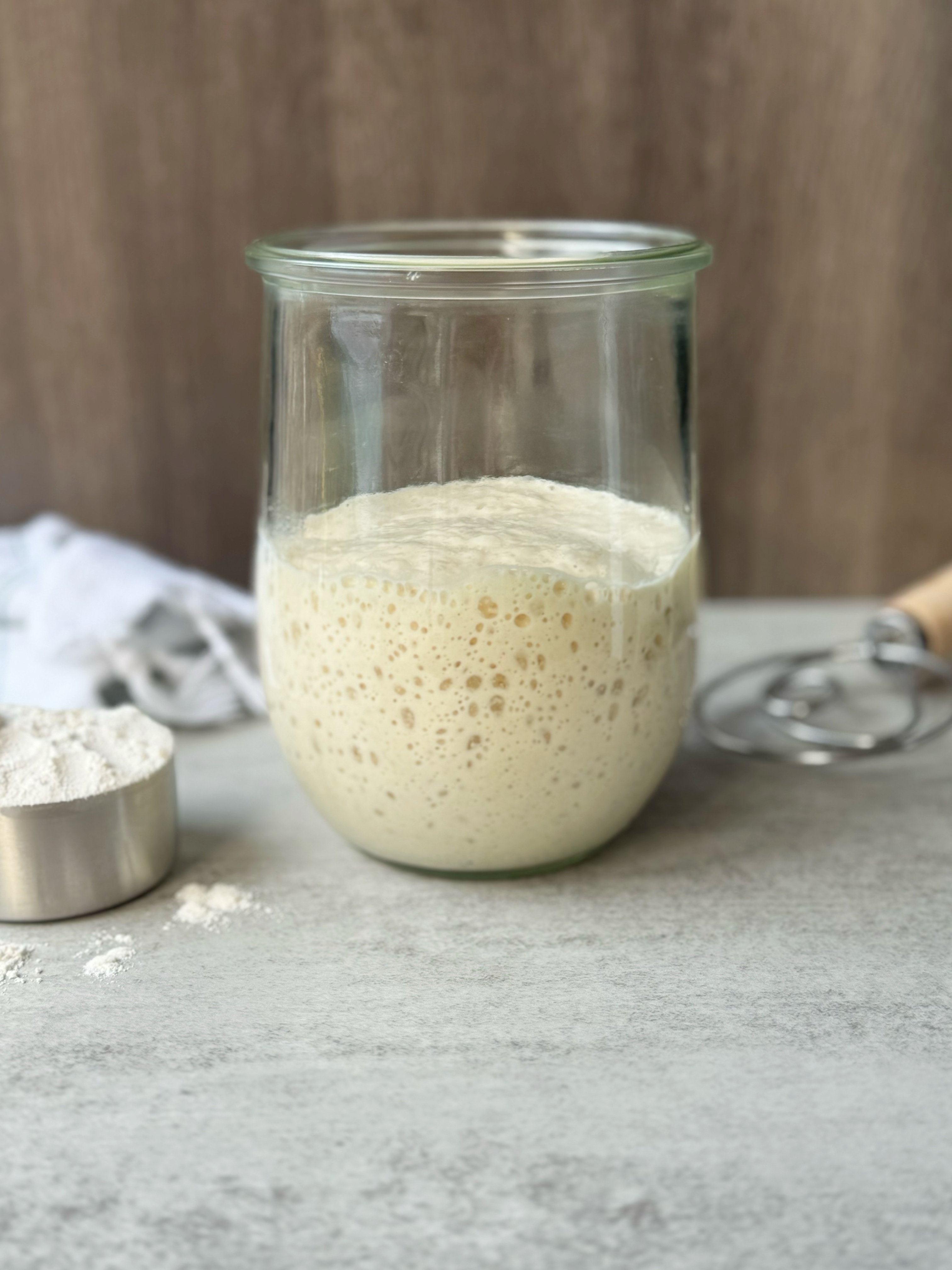 troubleshooting sourdough starters