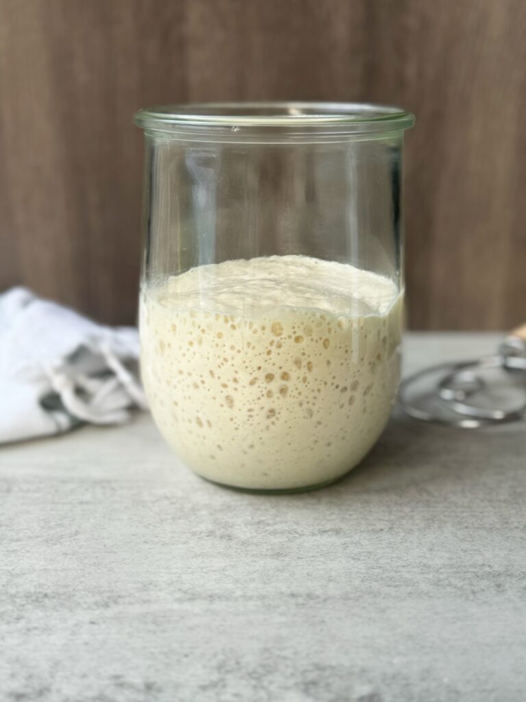 sourdough starter troubleshooting