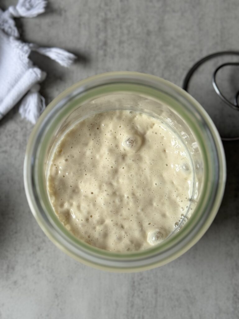 sourdough starter