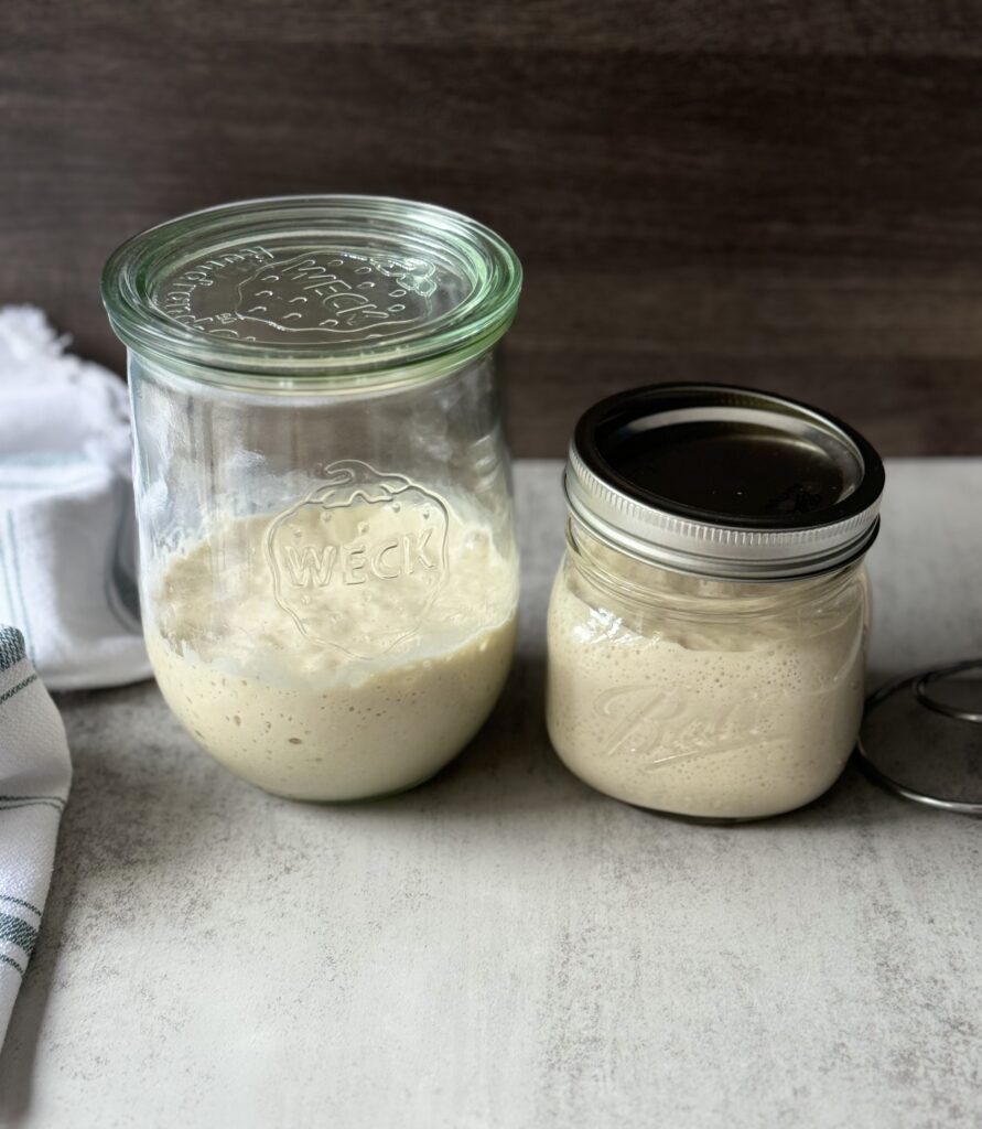 sourdough starter and discard