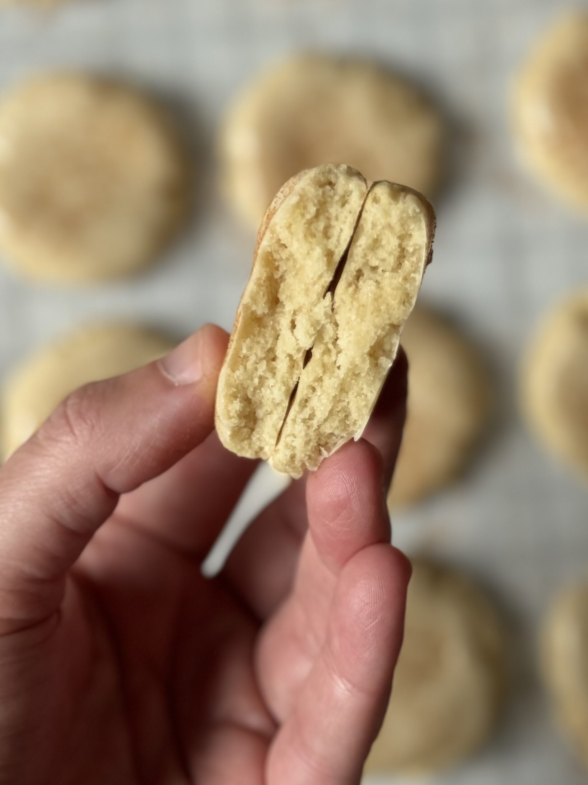 sourdough maple sugar cookies