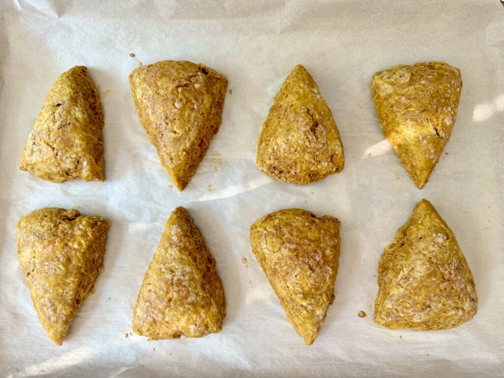 sourdough pumpkin scones baked