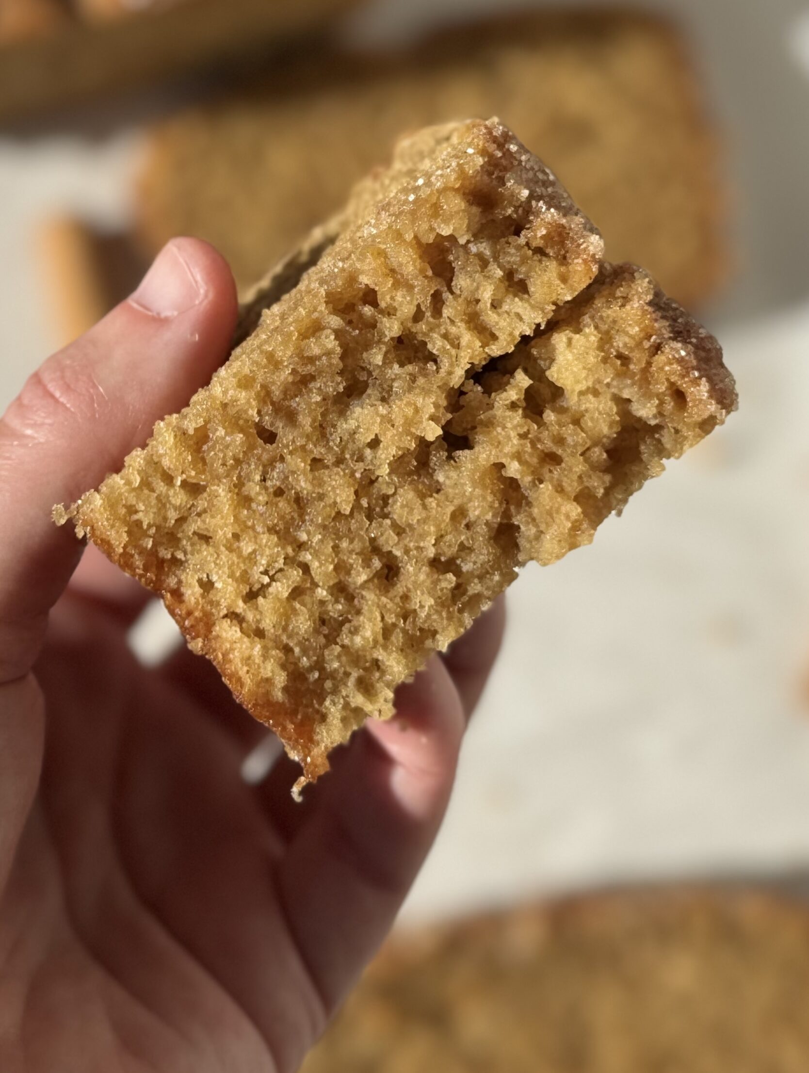 apple cider donut bread slices