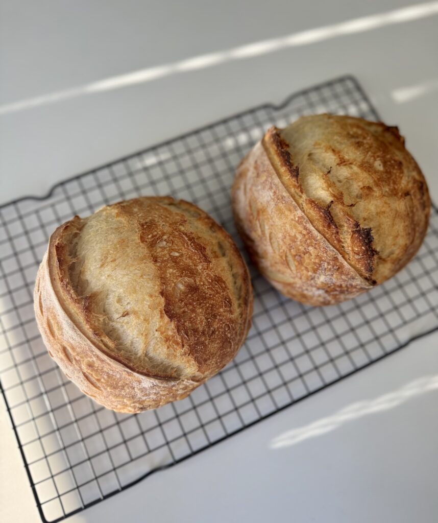 baked  mini sourdough loaves